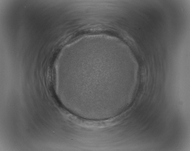 X0000082200029200702021856