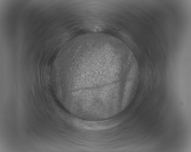 X0000082200030200702021856