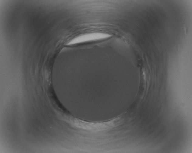 X0000082200031200702021856