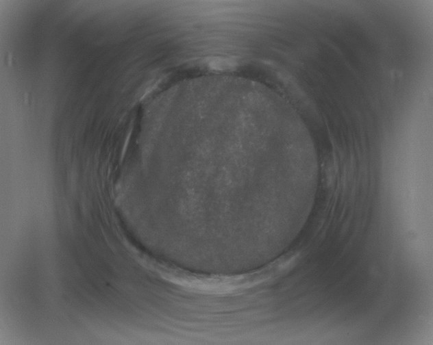 X0000082200032200702021856