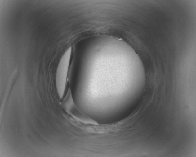 X0000082200033200702021856