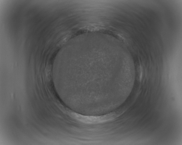 X0000082200034200702021855