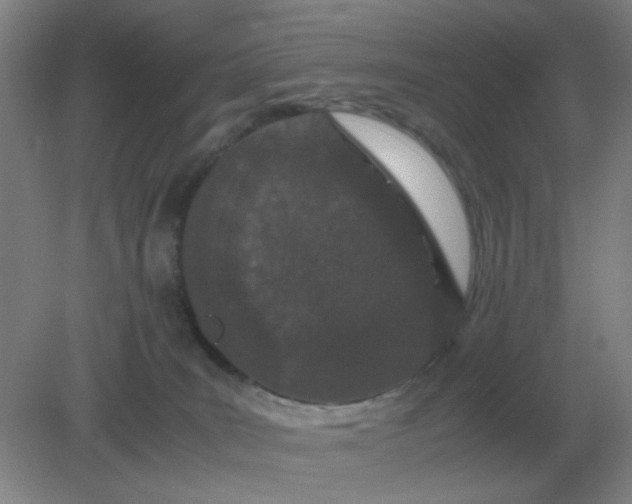 X0000082200035200702021855