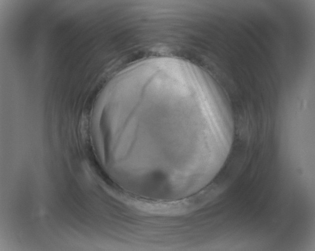 X0000082200036200702021855