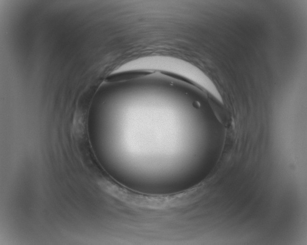 X0000082200037200702021855