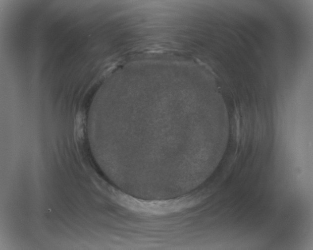 X0000082200038200702021855