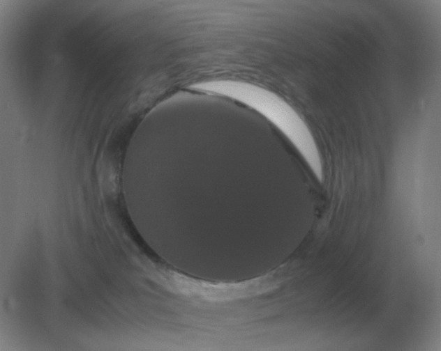 X0000082200039200702021855