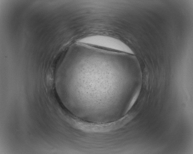 X0000082200040200702021855