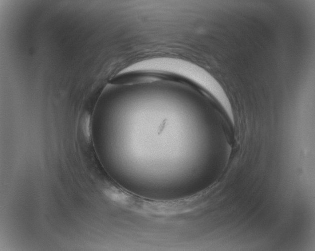 X0000082200041200702021855