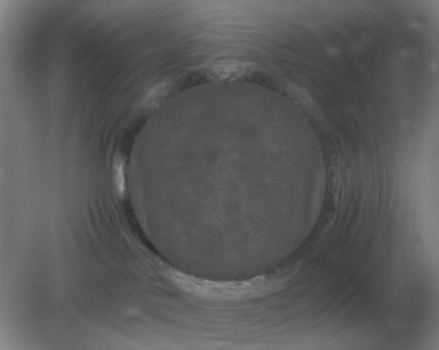 X0000082200042200702021855