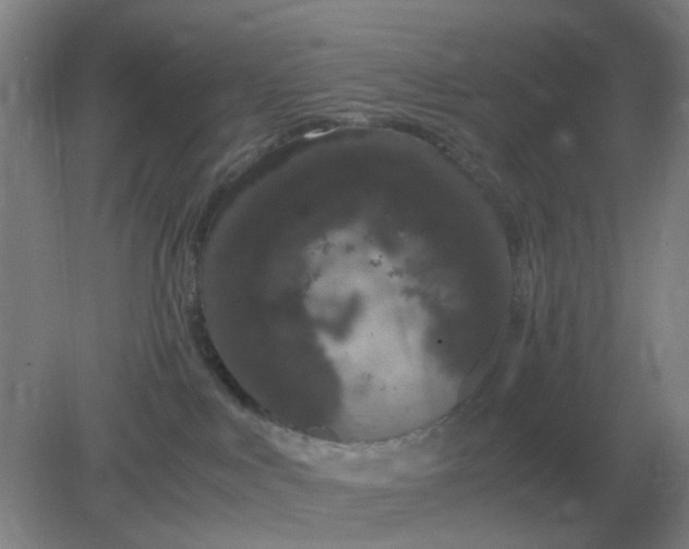 X0000082200043200702021855