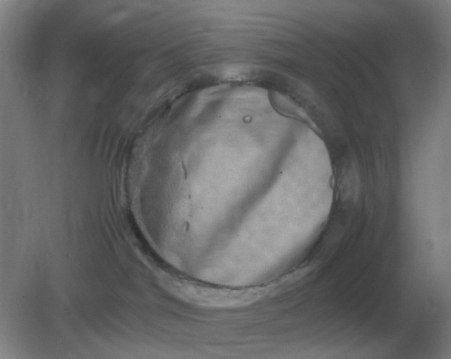 X0000082200044200702021855