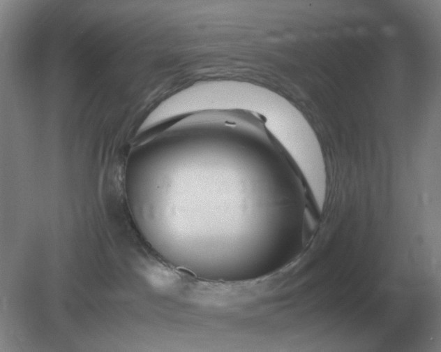 X0000082200045200702021855