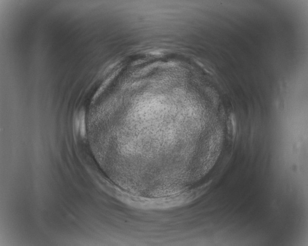 X0000082200046200702021855