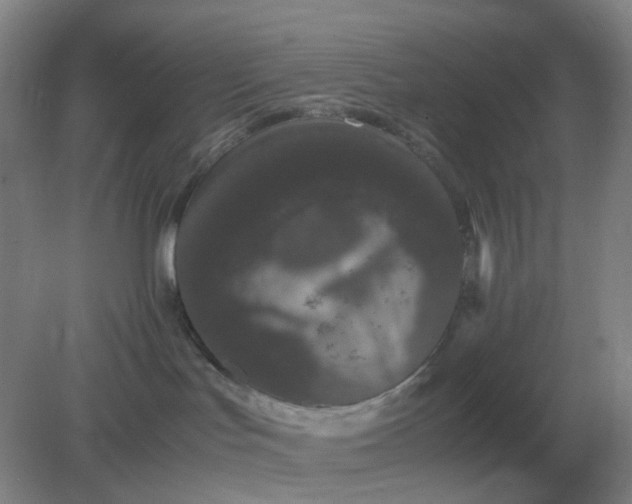 X0000082200047200702021855