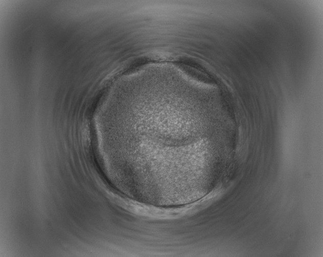 X0000082200048200702021855