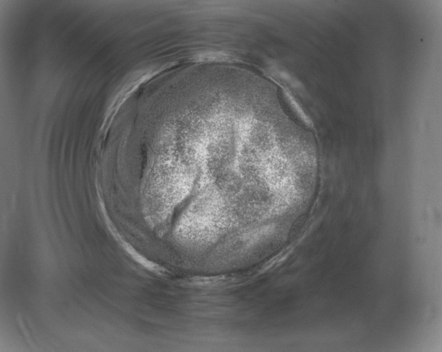 X0000082200049200702021854