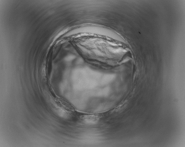 X0000082200050200702021854