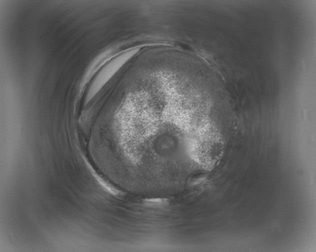 X0000082200053200702021855