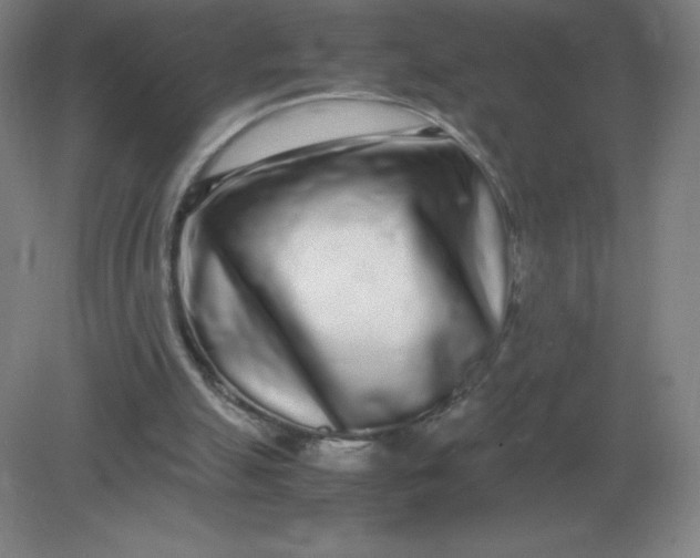 X0000082200055200702021855