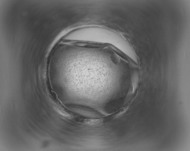 X0000082200056200702021855