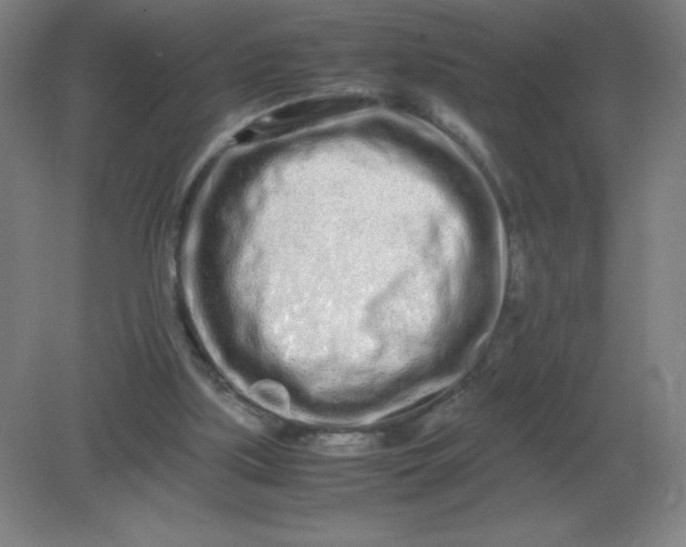 X0000082200059200702021855