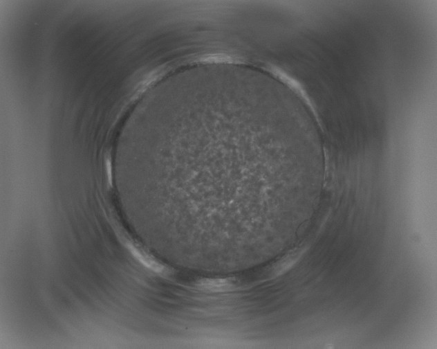 X0000082200061200702021855