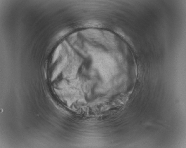 X0000082200062200702021855