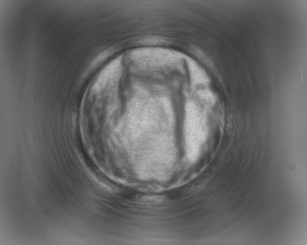 X0000082200063200702021855