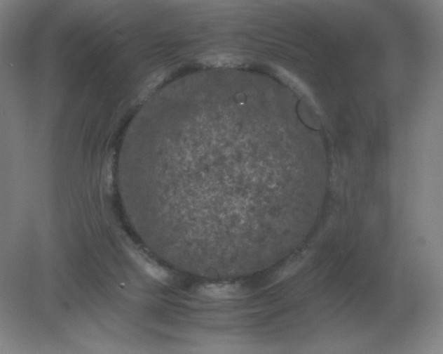 X0000082200065200702021855