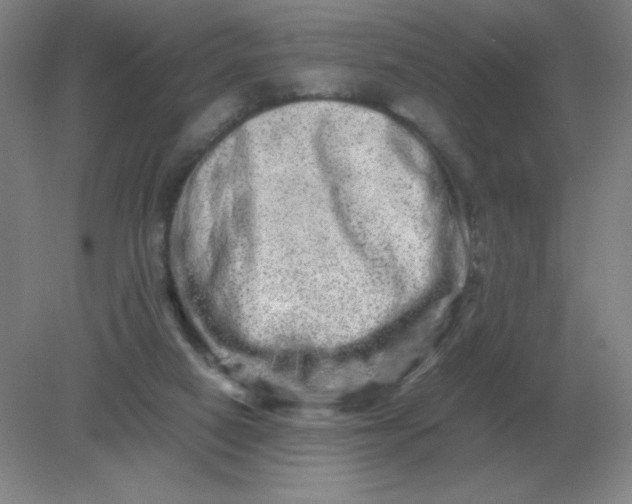 X0000082200066200702021855