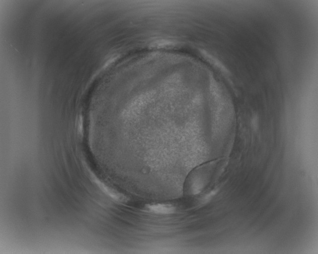 X0000082200067200702021855