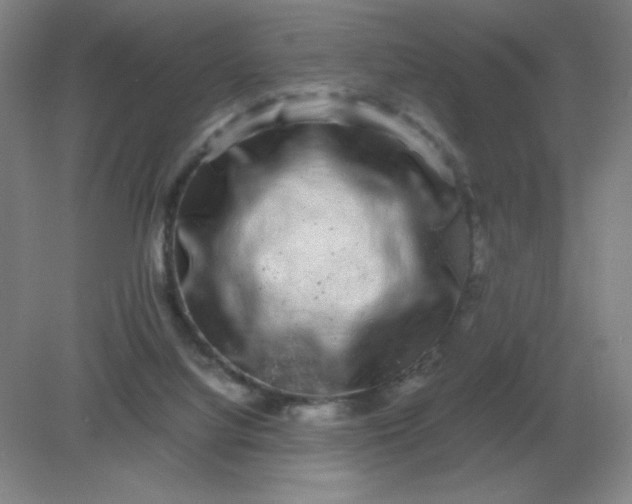 X0000082200068200702021855