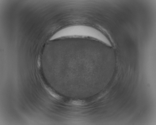 X0000082200069200702021855