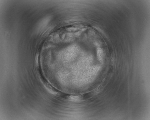 X0000082200070200702021855