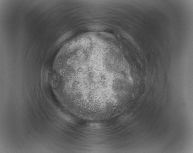 X0000082200071200702021855