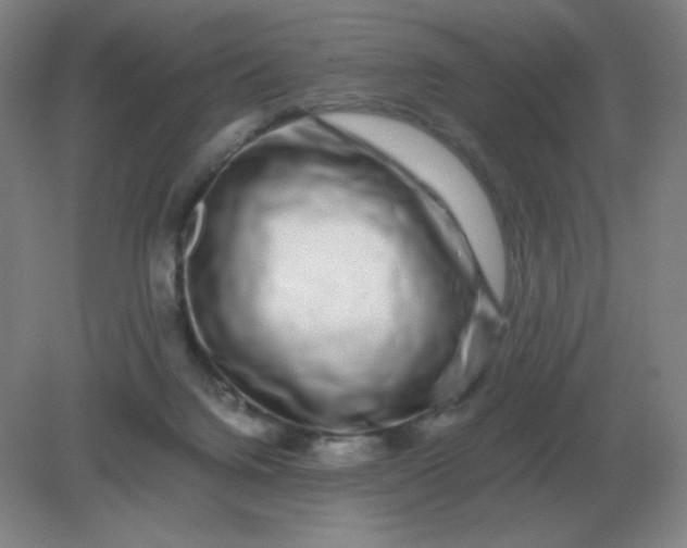 X0000082200072200702021855