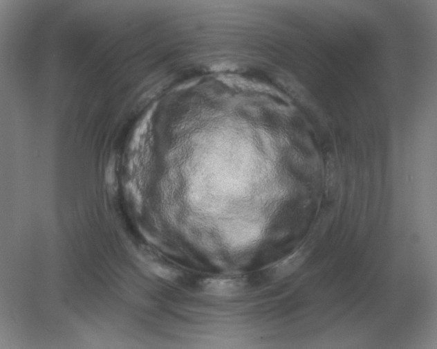 X0000082200074200702021855