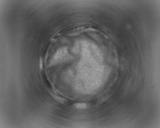 X0000082200075200702021855