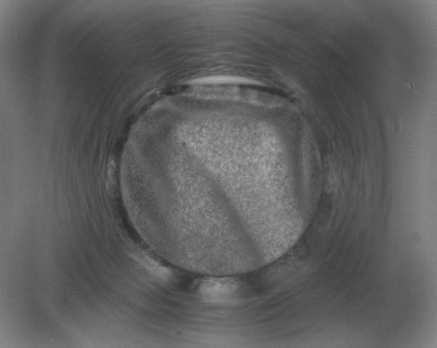 X0000082200077200702021855