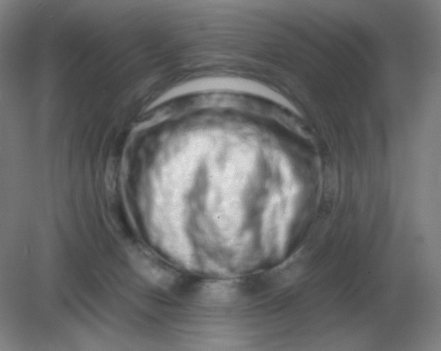 X0000082200078200702021855