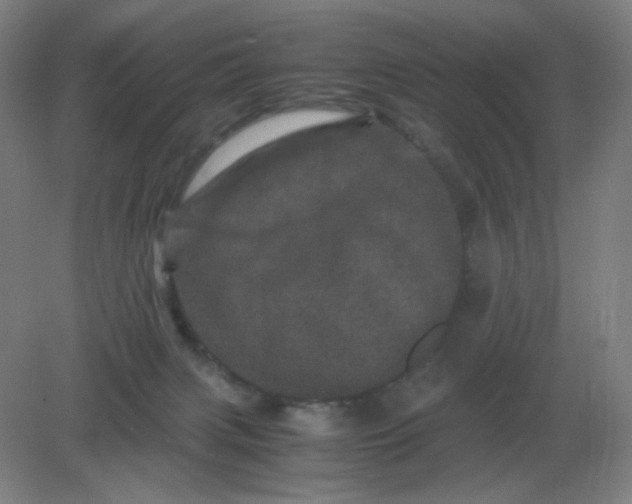 X0000082200079200702021855