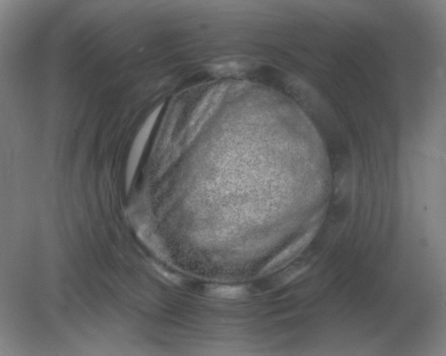 X0000082200081200702021855