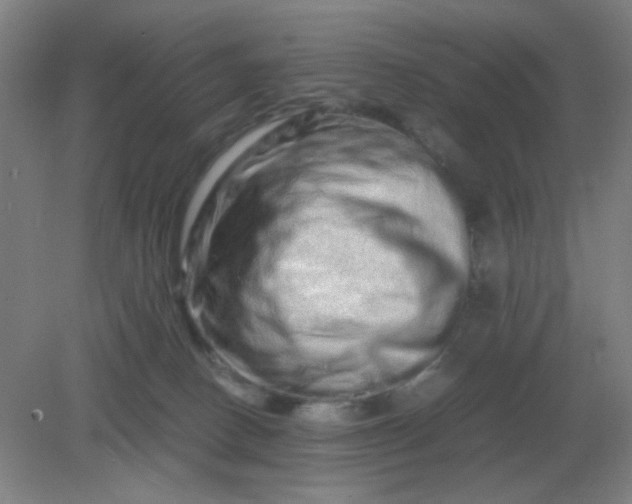 X0000082200082200702021855