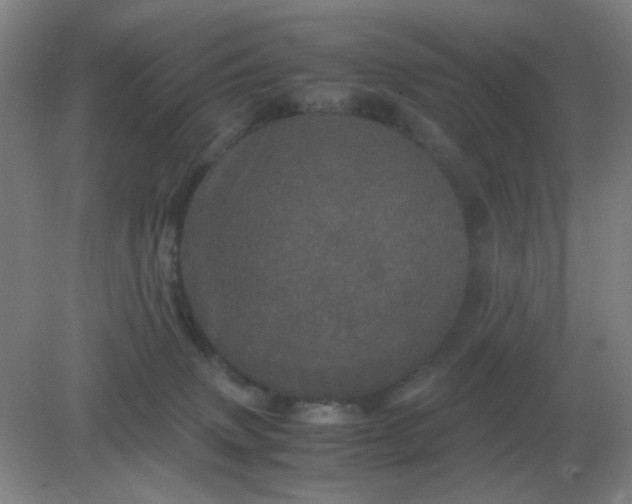 X0000082200083200702021855