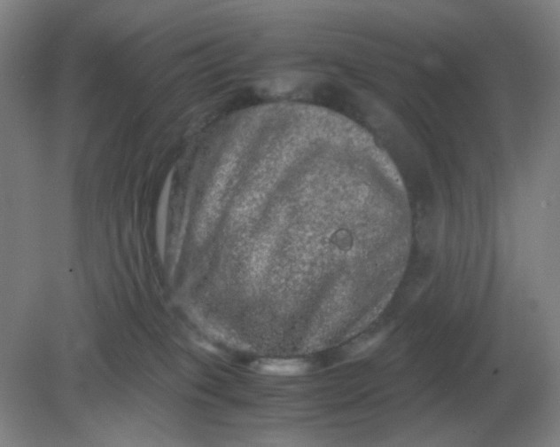 X0000082200085200702021855