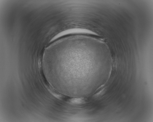 X0000082200086200702021855