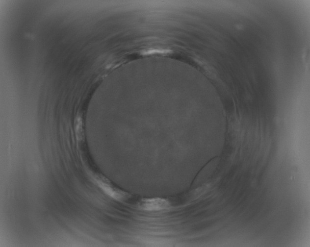 X0000082200087200702021855