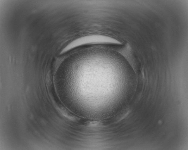 X0000082200088200702021855