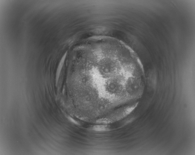 X0000082200089200702021855